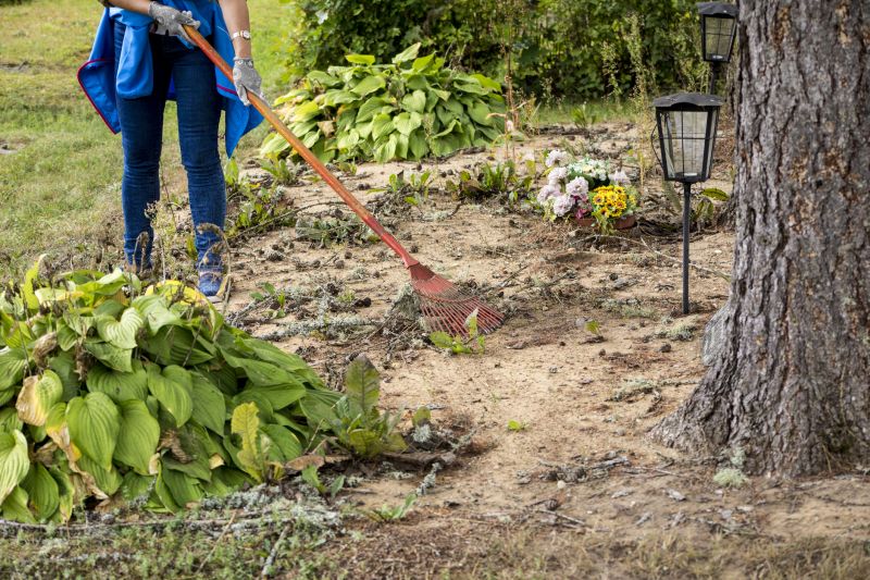 Farm Clearing in Marietta, GA
