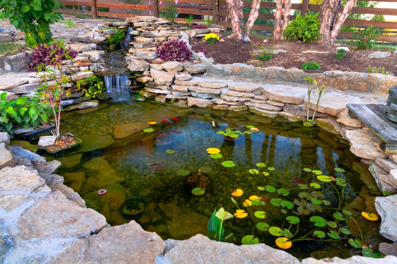 Natural Pond Design